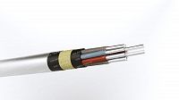 Кабель АКПсВБГ 10х6
